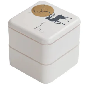 Lunch box originale Today's day